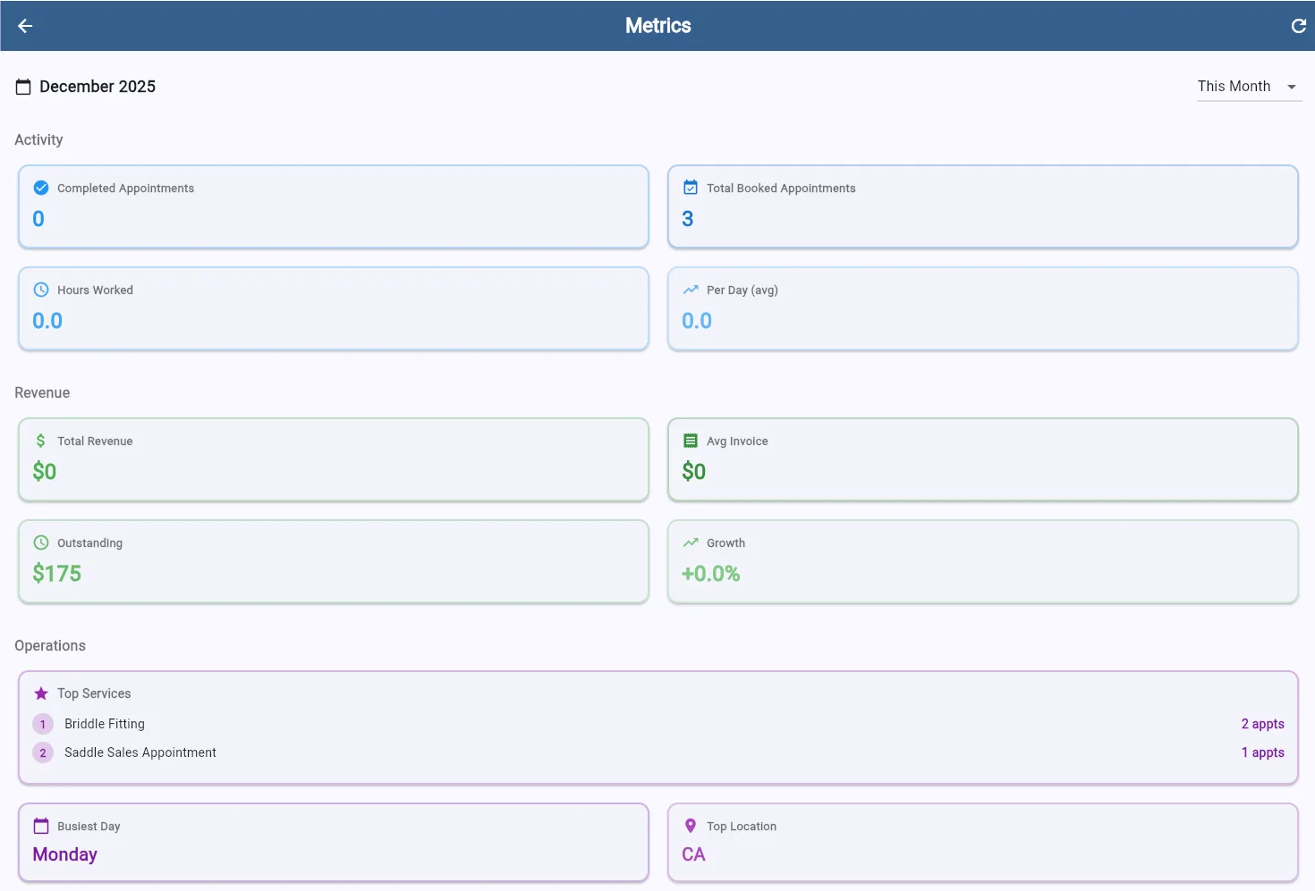 SaddleWorks metrics dashboard showing activity, revenue, and operations data