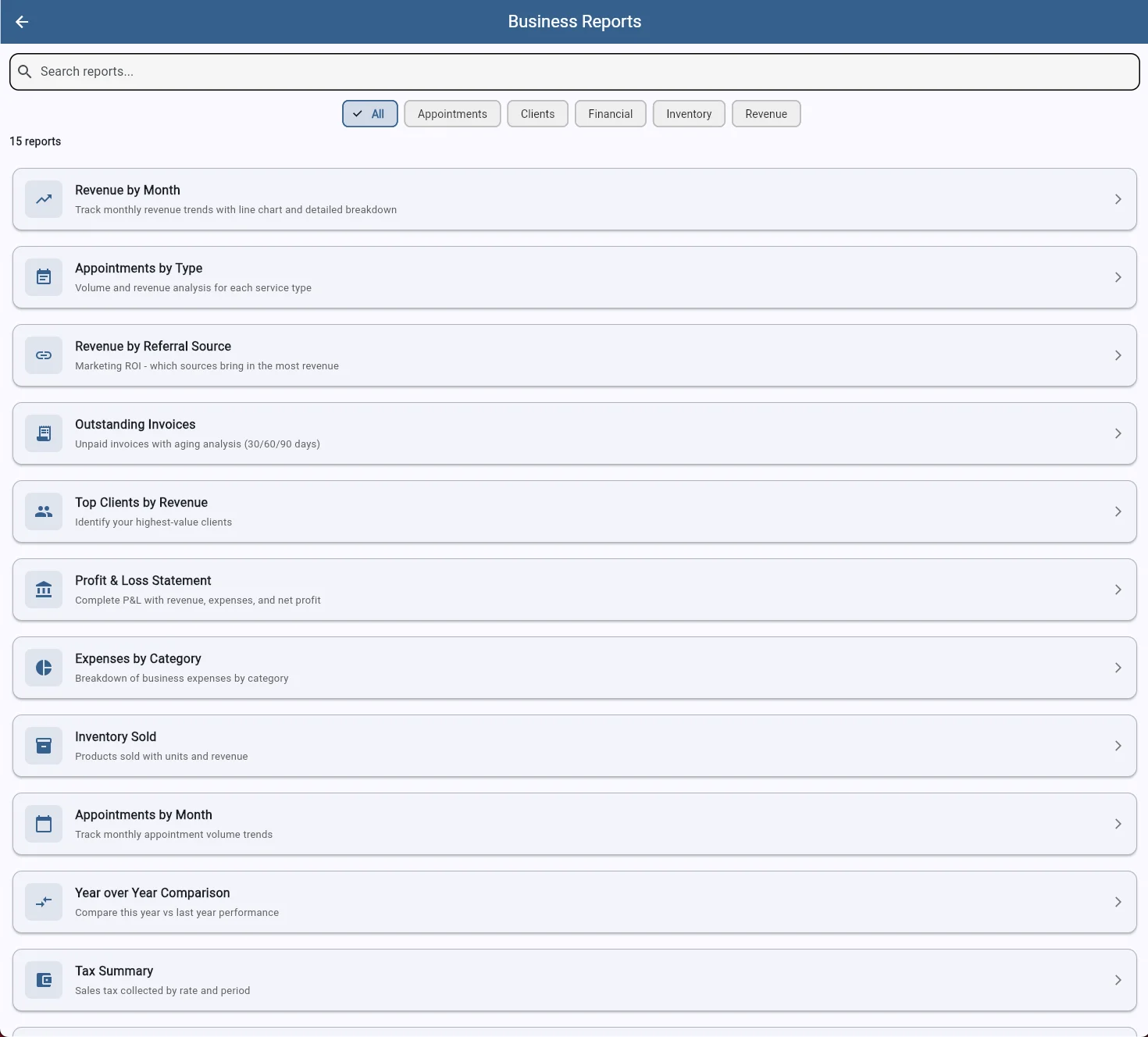 SaddleWorks business reports list showing available report types for revenue, appointments, clients, and more