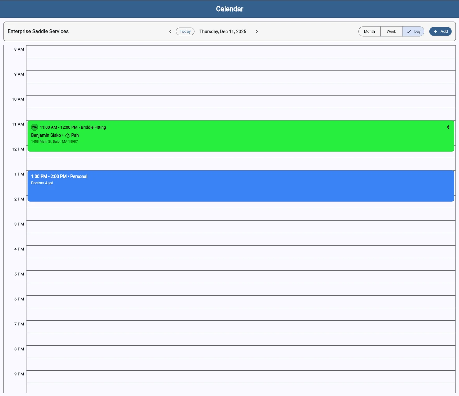 SaddleWorks calendar day view showing detailed hourly schedule with appointment blocks