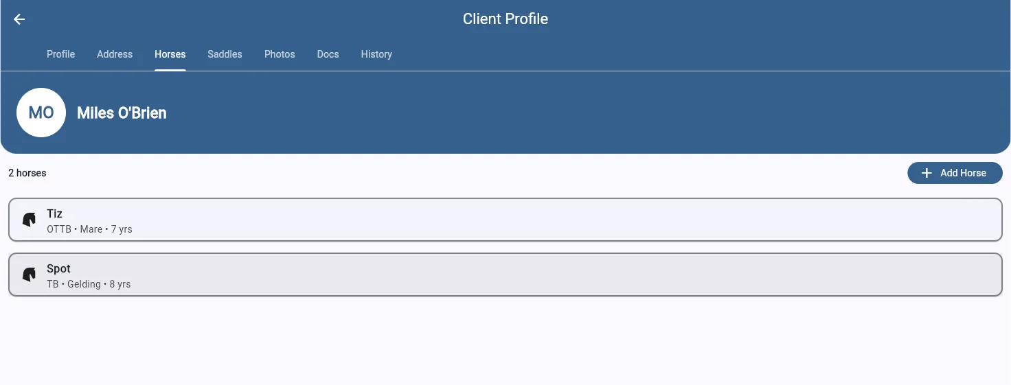 SaddleWorks client profile showing horses tab with list of horses including breed, sex, and age
