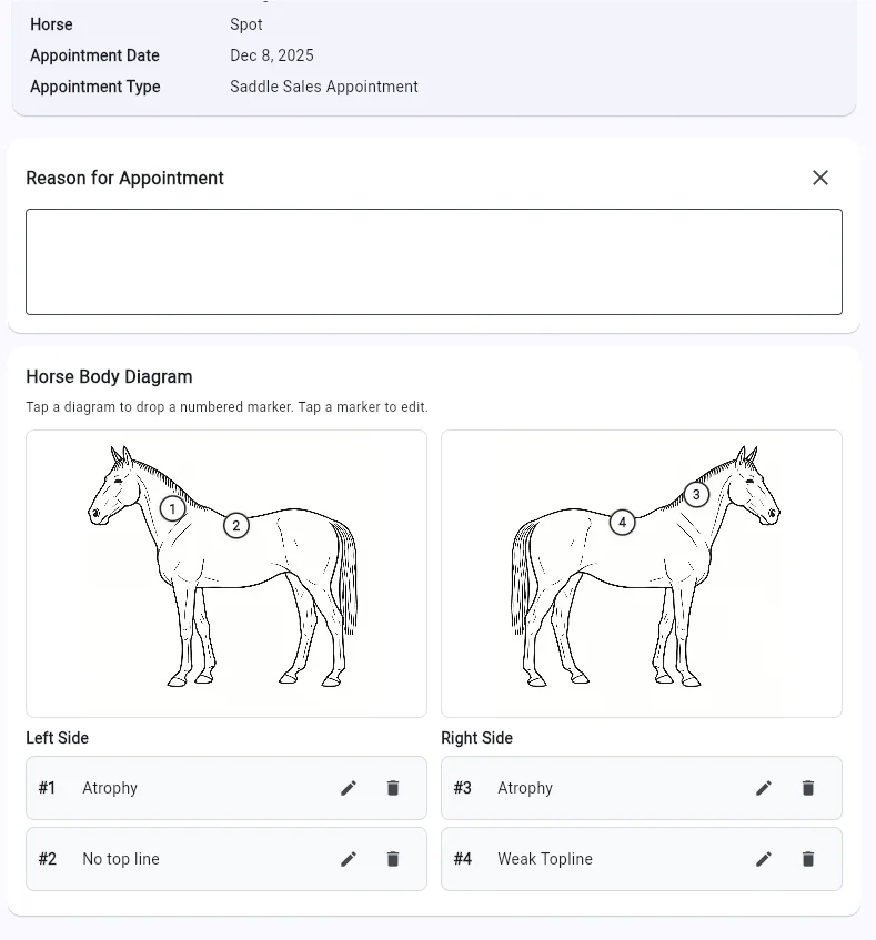 SaddleWorks horse body diagram with numbered markers for documenting findings on left and right sides