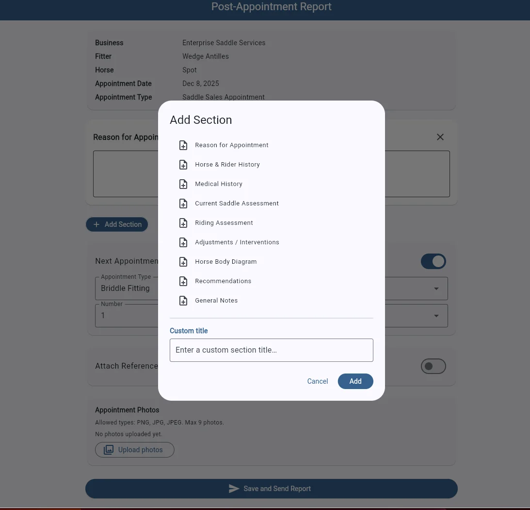 SaddleWorks report section options including horse history, medical history, saddle assessment, and recommendations